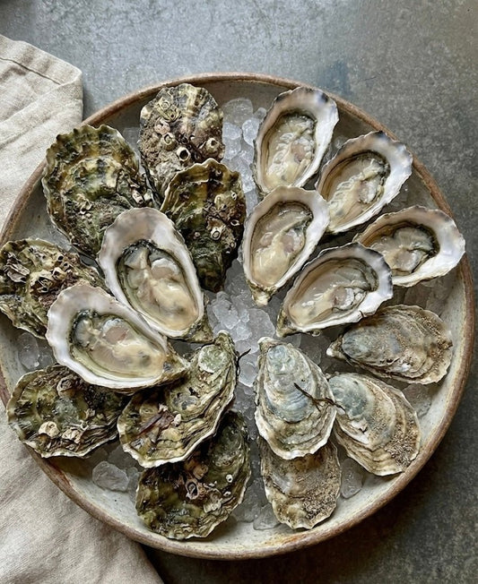 Sådan vælger du østers - CARDENAU