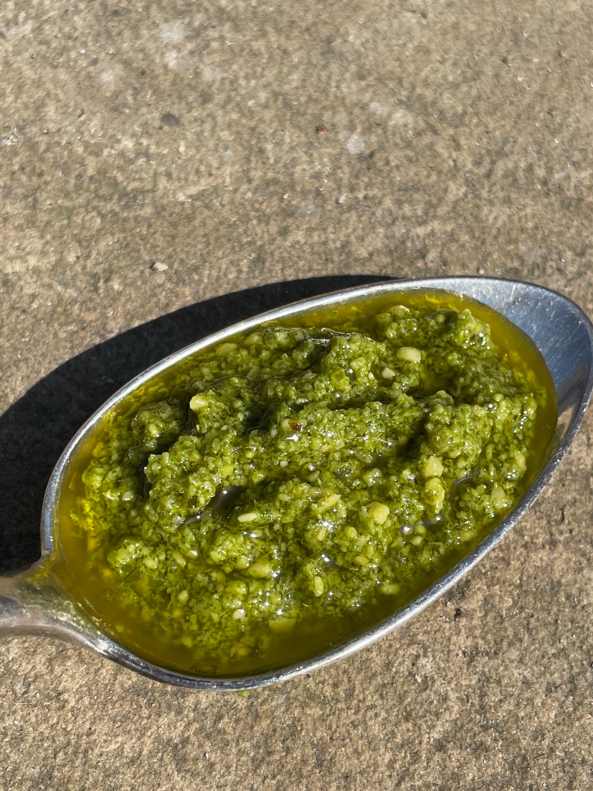 Pesto på basilikum - CARDENAU